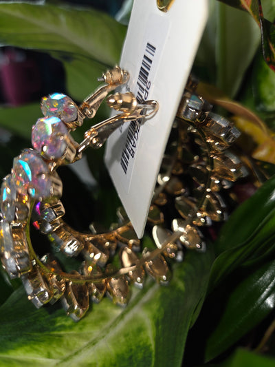 Giant Blingy Earrings