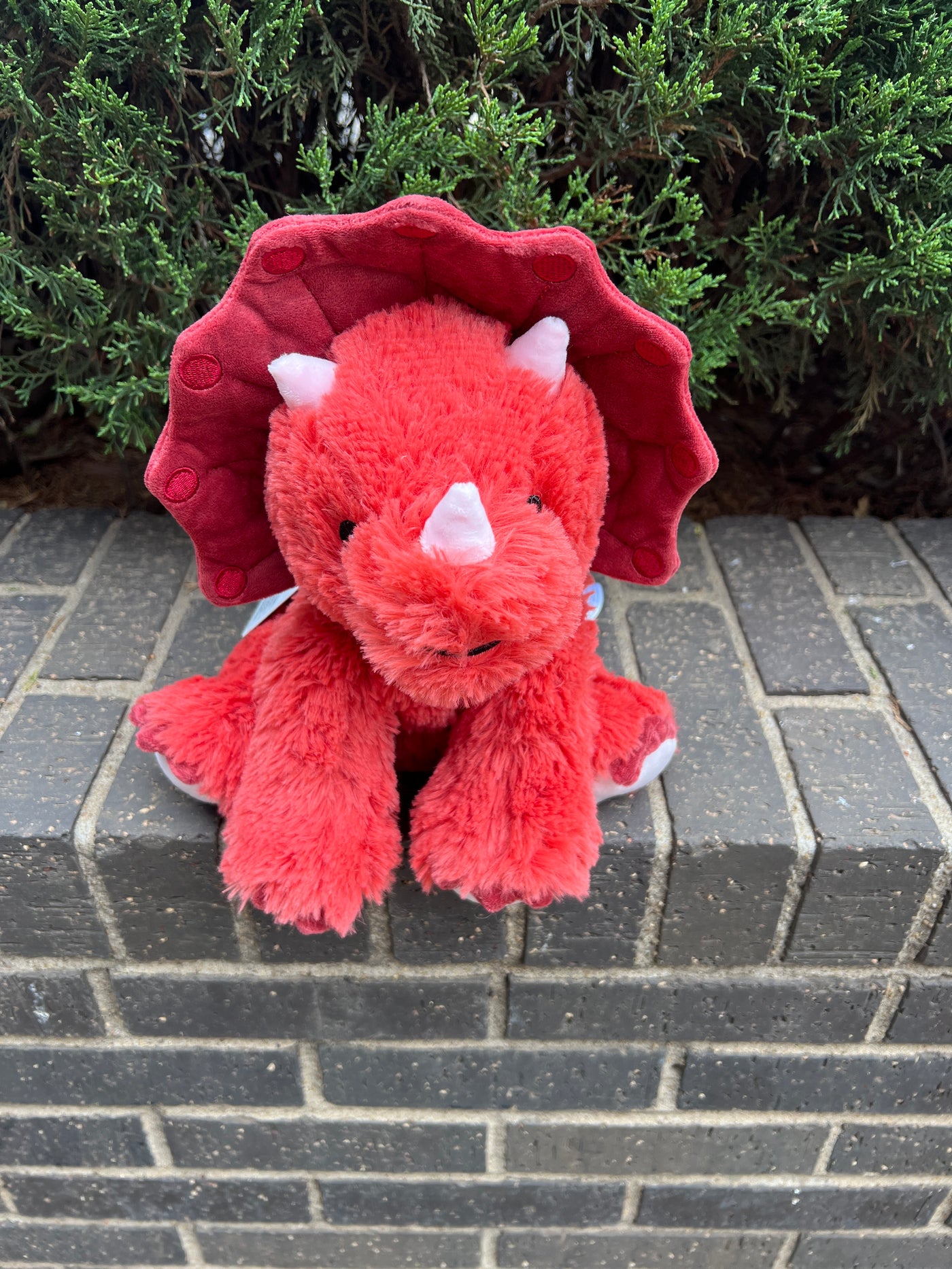 Warmie Red Triceratops