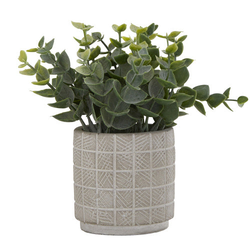 Eucalyptus Pot