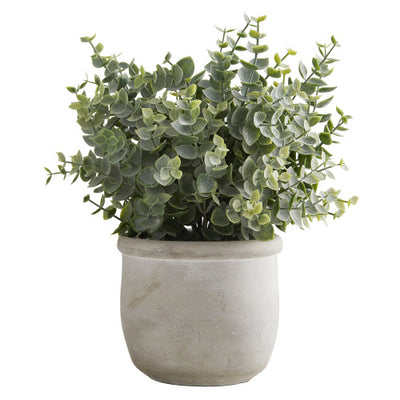 Eucalyptus Pot